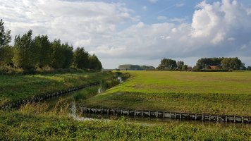 Umgebung